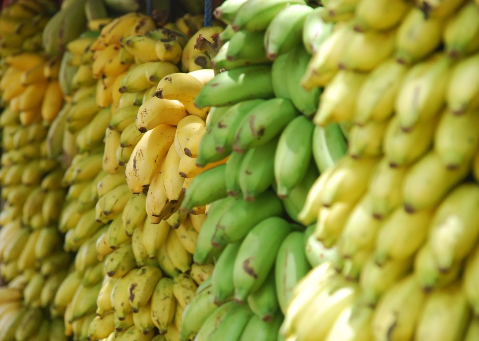 farmer's markets in pasadena